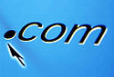 Domain Name Registration